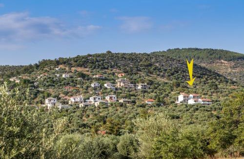 Astris House | Villa Oliva