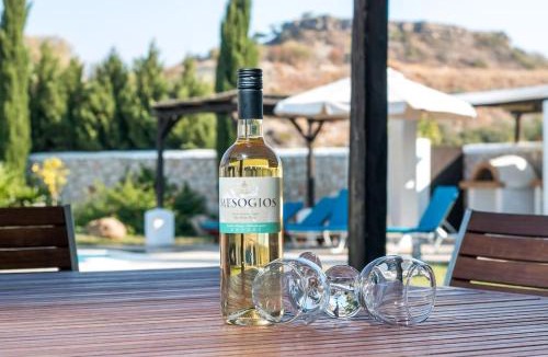 Faliraki Villa | Villa Olympos Ladiko