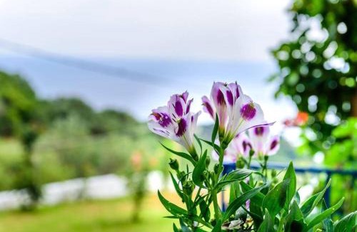 Lygia House | Villa Panorama Sea View Family Villa near Vrachos Beach Lygia