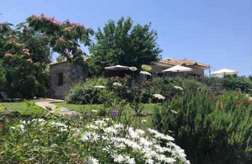 Riglia House | Villa Pefnos
