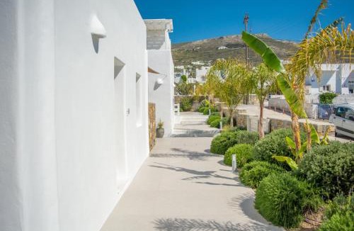 Parikia Hotel | White Blossom