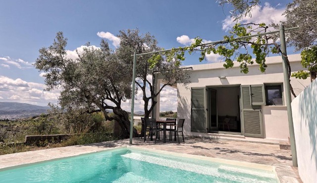 Admonis - Home in the olive grove