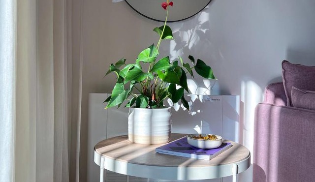 Aillo Living Spaces