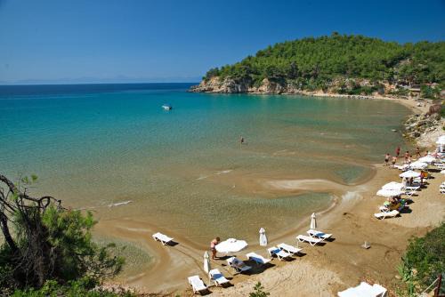 Alonissos Beach Bungalows And Suites Hotel