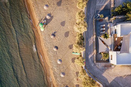 Aniv Villa by the Sea - 5m from the beach in Kini