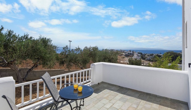 Anthoula's Sea View Apartment