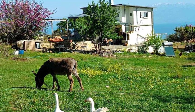 Batzanemi Guest House and Farm in Throfárion