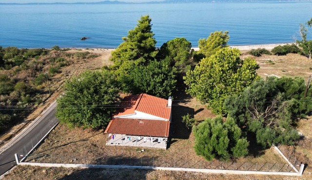 Beach House