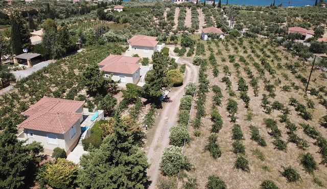 Beautiful holiday house in the country with terrace | Messenia, Peloponnese in Aghia Triada