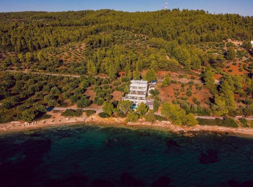 Casa Bloo Adults Only by Still Collection in Elia