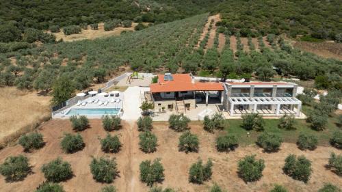 Casa Del Olivar in Develíkia