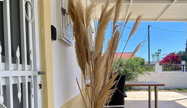 CASA DI ELSA - STUDIO IN LAMBI, KOS