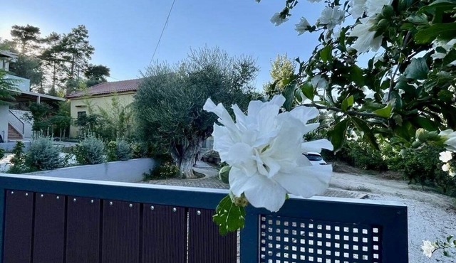 Cosy cottage maisonette -5 min from the beach! in Kalamata