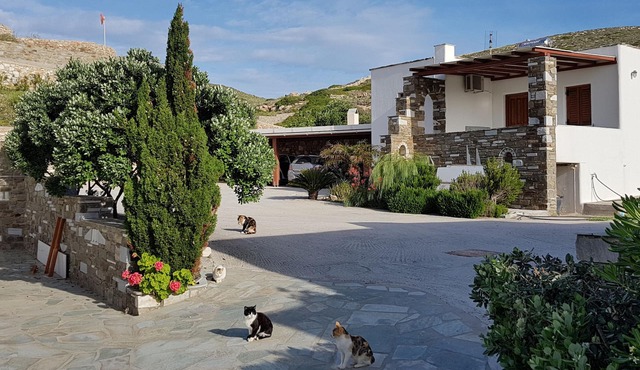 Country houses Marcello - Nikolas in Paros