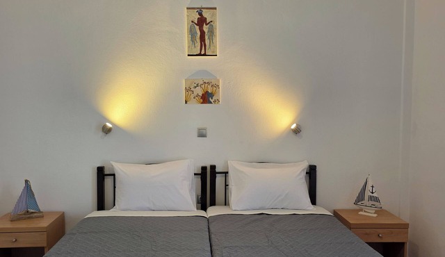 Deluxe Twin Room in Vothonas