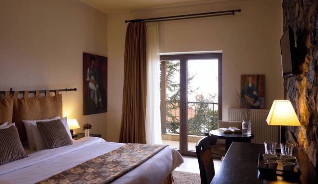 Domotel Neve Mountain Resort & Spa in Edessa