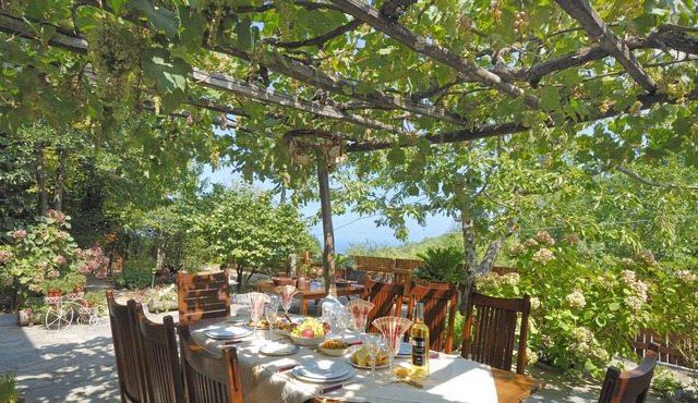 Exclusive Holiday Villa in Pelion (Est.1863) in Pelion