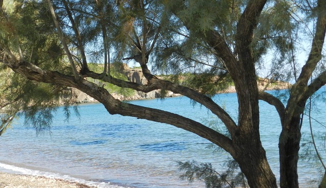 Fotis apartments and house in Nees Kidonies