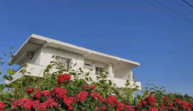 Green Villa in Durrës
