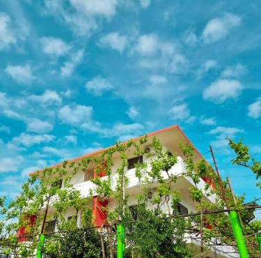 Green Villa in Velipojë