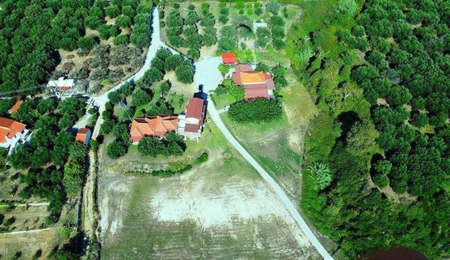 guest house kalamaki beach preveza in Preveza