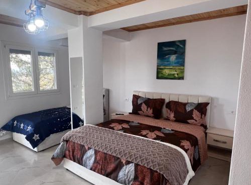Hotel I Pari in Shkodër