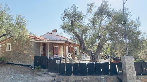 Lithos Estate Plomari in Plomari