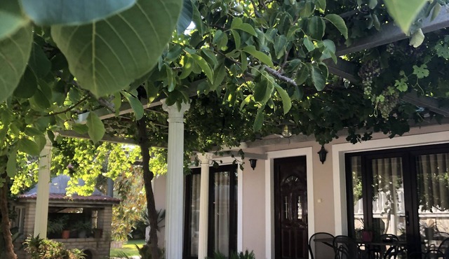 Little villa