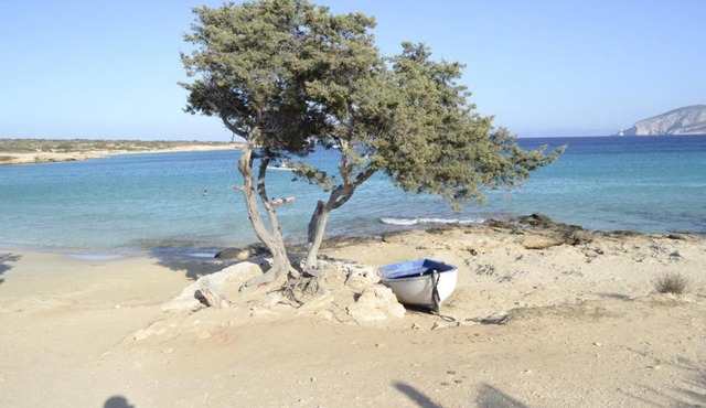 Nektarios Fanos Studios in Koufonisia