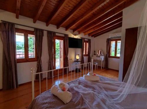 Nikola's House