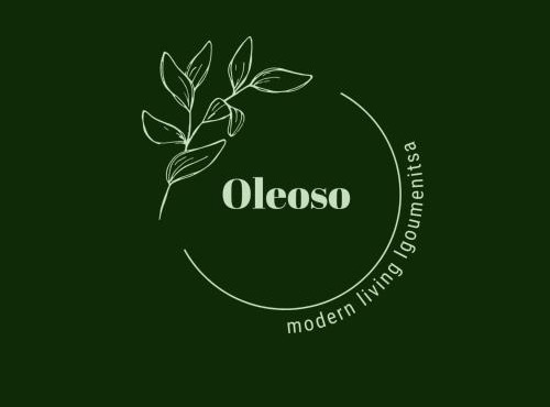 Oleoso in Igoumenitsa