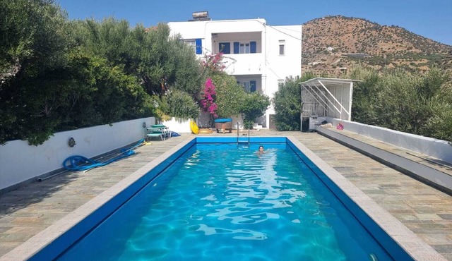 Olive Grove Serenity, family-friendly villa with private pool and lush garden