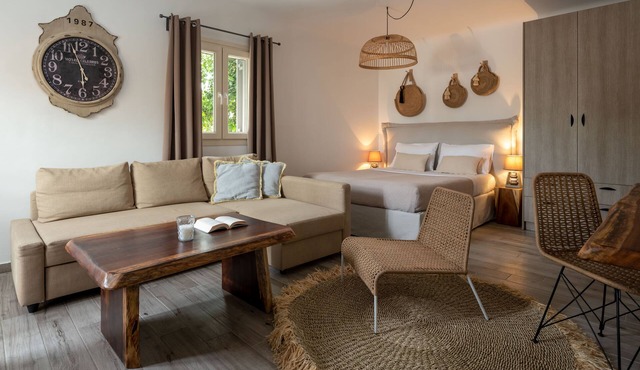 Olive Mykonos Villas - Junior Villa