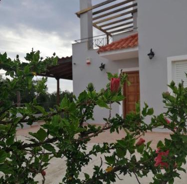Olive Tree House I in Dhermatiánika