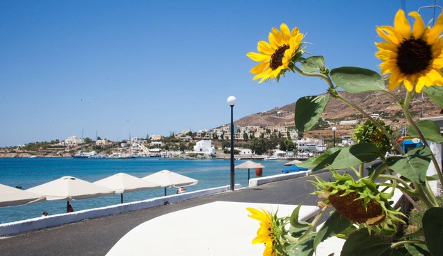 Olympia Hotel in Syros