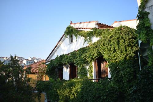 Pension Felippe in Pythagoreio