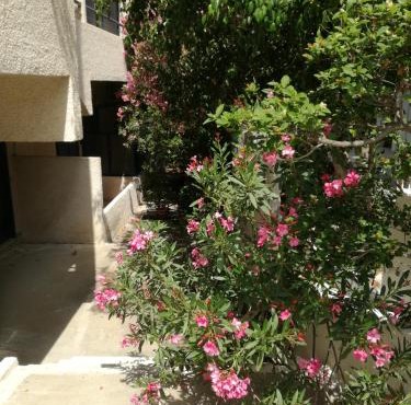 Pericles Studios