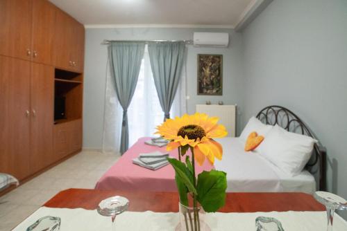 RIRIKA APARTMENT in Igoumenitsa