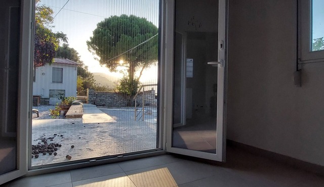 The Pine Tree in Samos