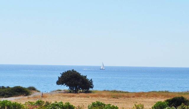 Villa Imerti-Private Beach-Heated Pool-Jacuzzi Spa & SunBeds in palm trees beach