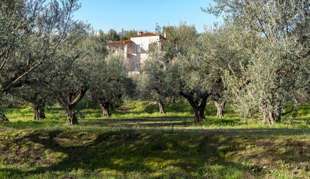 VILLA KLOTILDI