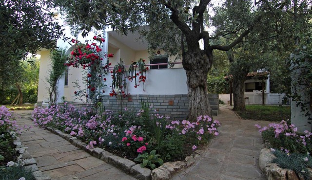 VILLA RELAX