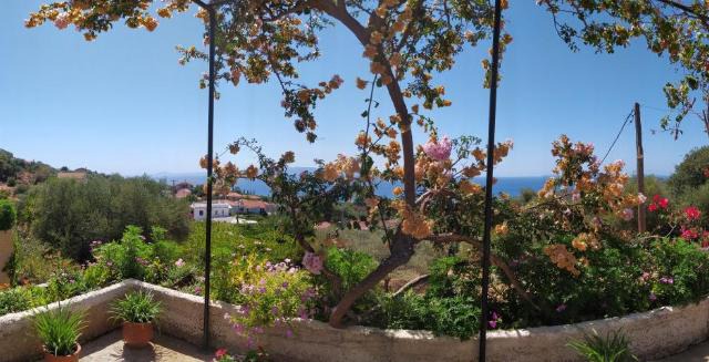 Villa Tsapoula in Mousata