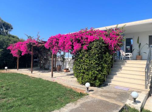 Villa Villino Blu by the sea