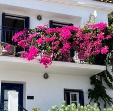 Zaros House. Two-Bedroom Traditional House with Sea Views in Kioni.