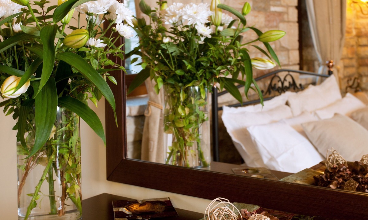 Arta House | Nisista Lodge Mountain View