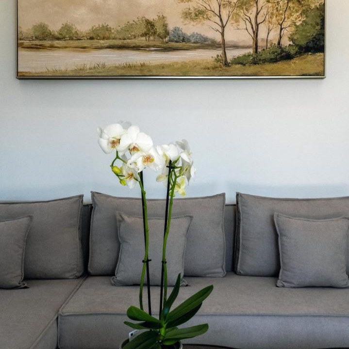 Archanes Villa | Irisma II Luxury Villa with private pool with 2 bedrooms 2 bathrooms