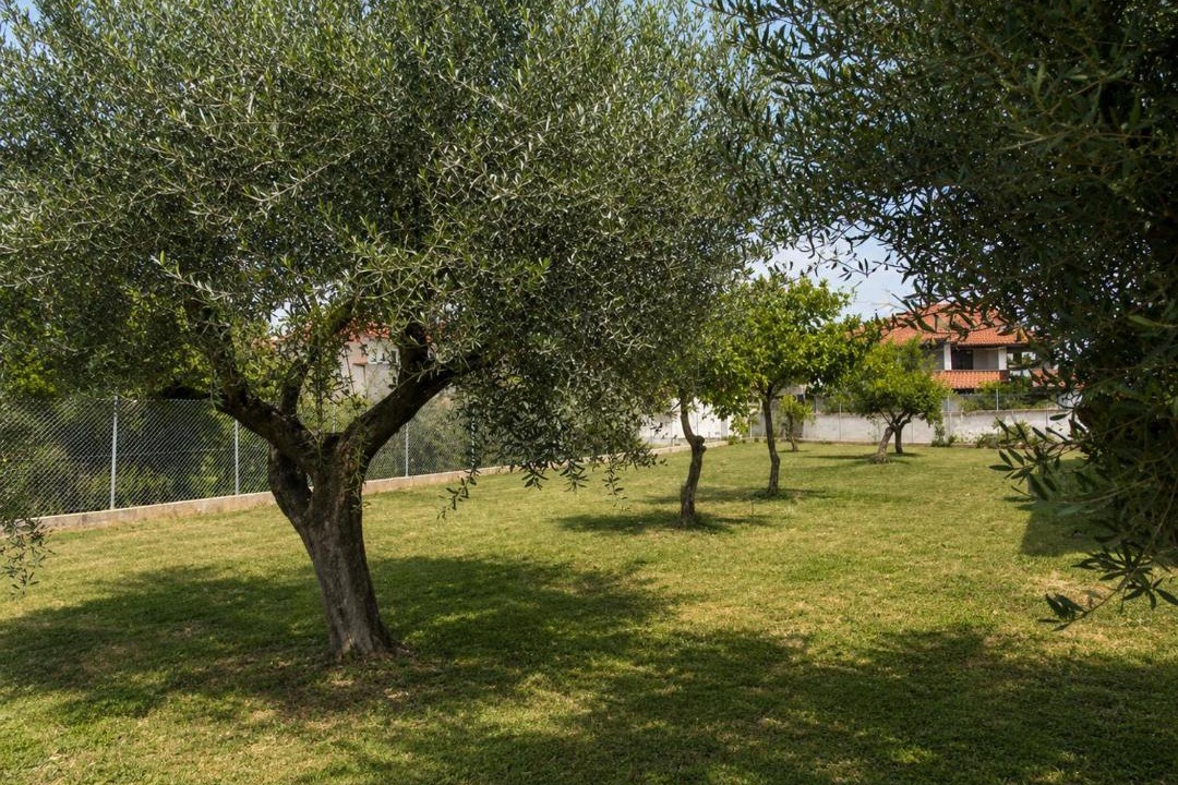 Anemomilos House | Casa Plati 2 - Peaceful Garden Stay with Pool