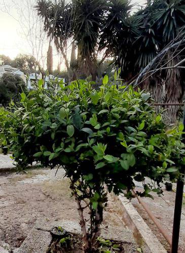 Photo of Outdoor in Perama