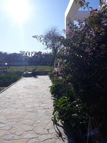 Photo of Others in Potamos